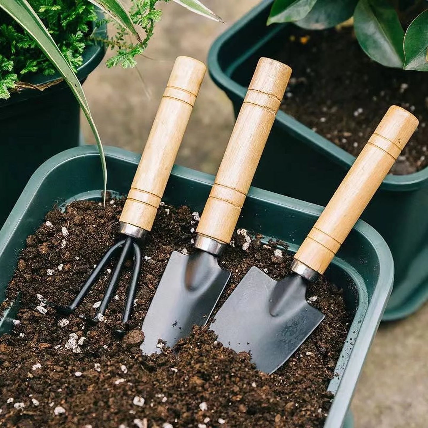 Mini Garden Tool Set, 3 Pieces Portable Mini Gardening Kit Including Hand Shovel, Transplant Shovel, Cultivator Hand Rake with Soft Wood Non-Slip Handle, Iron H