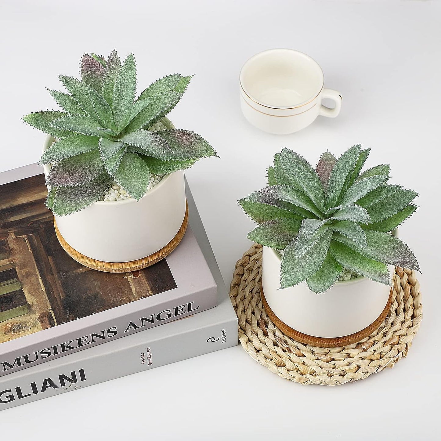 Artificial Succulents Plant, Faux Agave Succulent Plant in Ceramic Pots with Bamboo Tray, Fake Potted Plants for Office Desk Living Room Decor(Set of 2)
