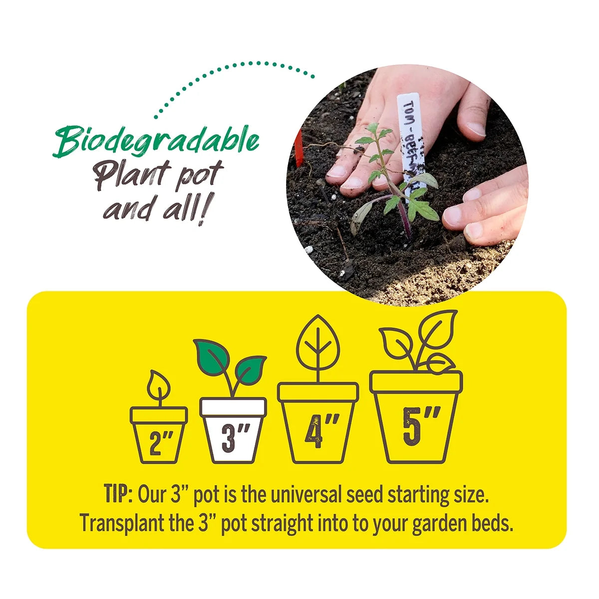 3" Peat Pots, (12 Pack)