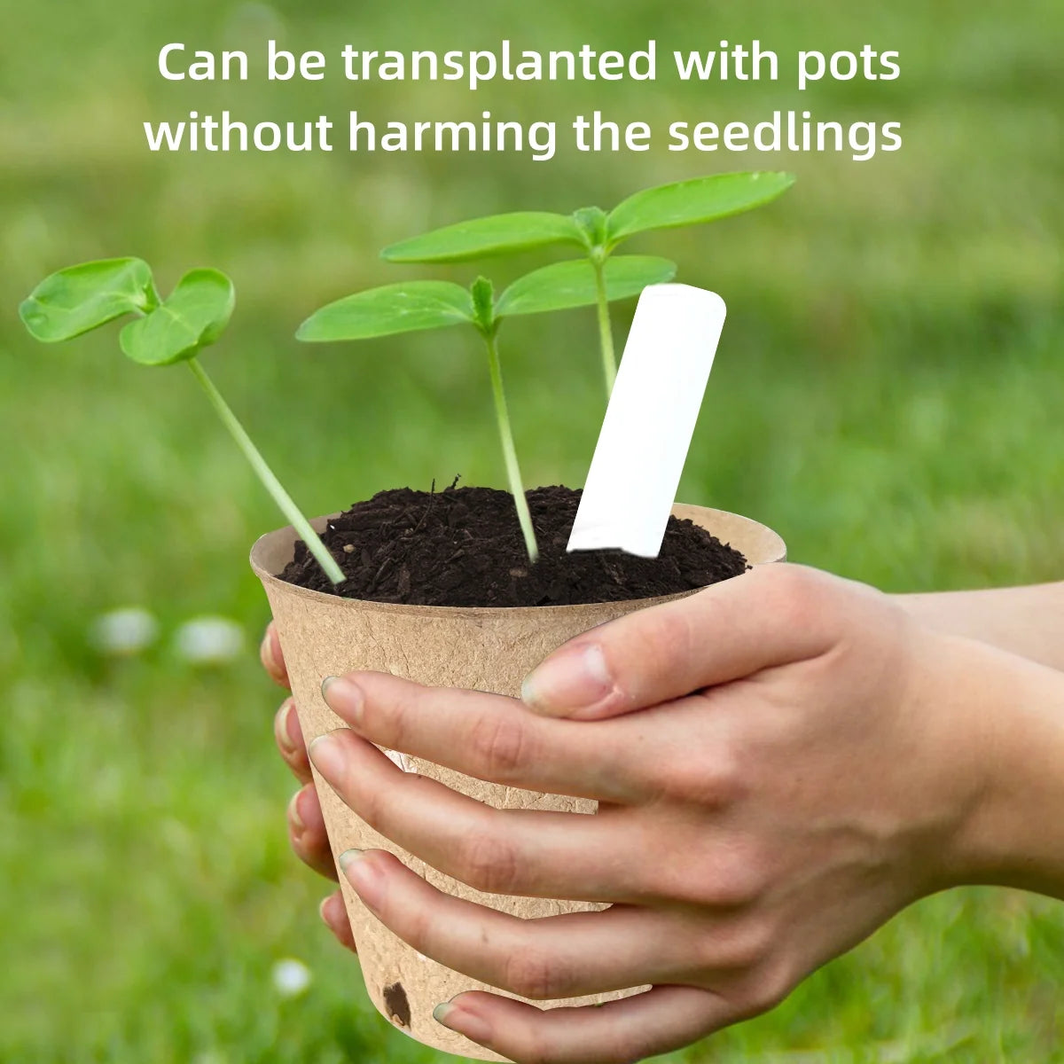 Nursery Pots Seedling Pots Biodegradable Plant Pots Peat Pots Small Plant Starter Pots with Drainage Holes round with Plant Labels + 3.93" 60Pcs