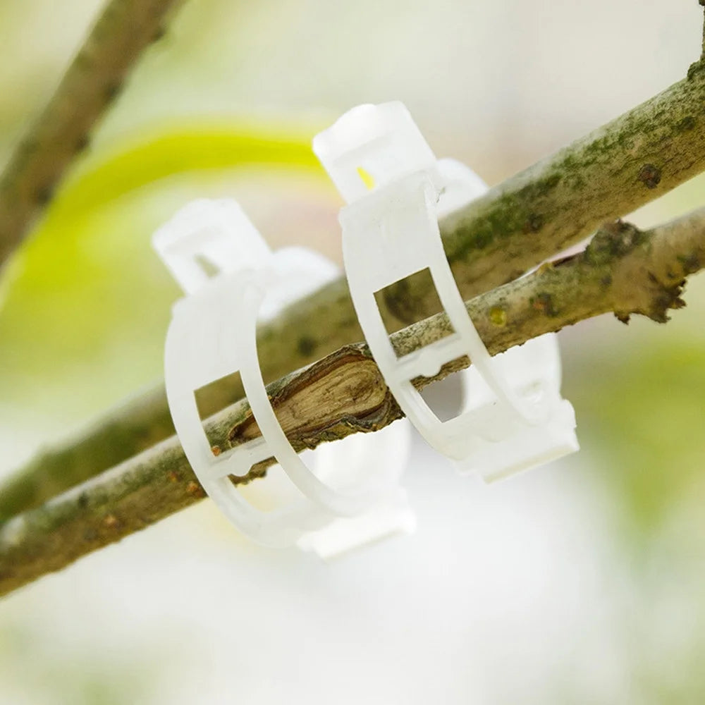 100PC Trellis Tomato Clips Supports Connects Plants Vines Trellis Twine Cages