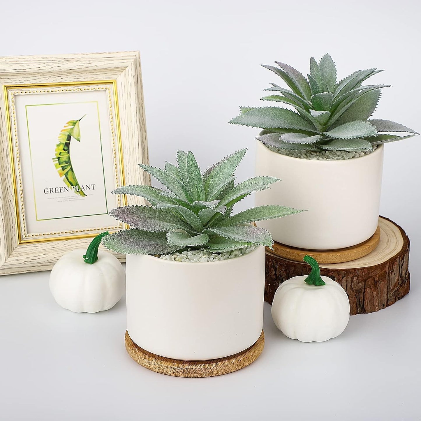 Artificial Succulents Plant, Faux Agave Succulent Plant in Ceramic Pots with Bamboo Tray, Fake Potted Plants for Office Desk Living Room Decor(Set of 2)