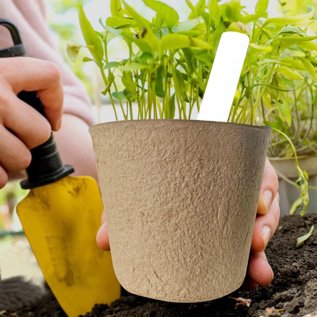 Nursery Pots Seedling Pots Biodegradable Plant Pots Peat Pots Small Plant Starter Pots with Drainage Holes round with Plant Labels + 3.93" 60Pcs