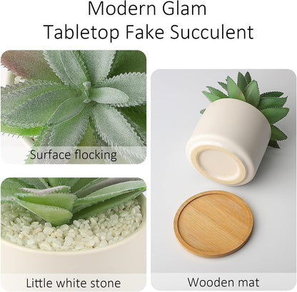 Artificial Succulents Plant, Faux Agave Succulent Plant in Ceramic Pots with Bamboo Tray, Fake Potted Plants for Office Desk Living Room Decor(Set of 2)