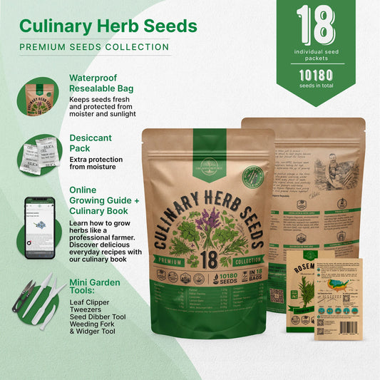 18 Culinary Herbs Seeds Variety Pack - 10,180+ Heirloom, Non-Gmo, Herbs Seeds