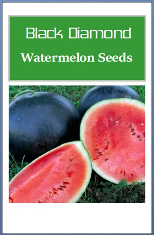 Black Diamond Watermelon Seeds | NON-GMO Watermelon Seeds | Heirloom Seeds