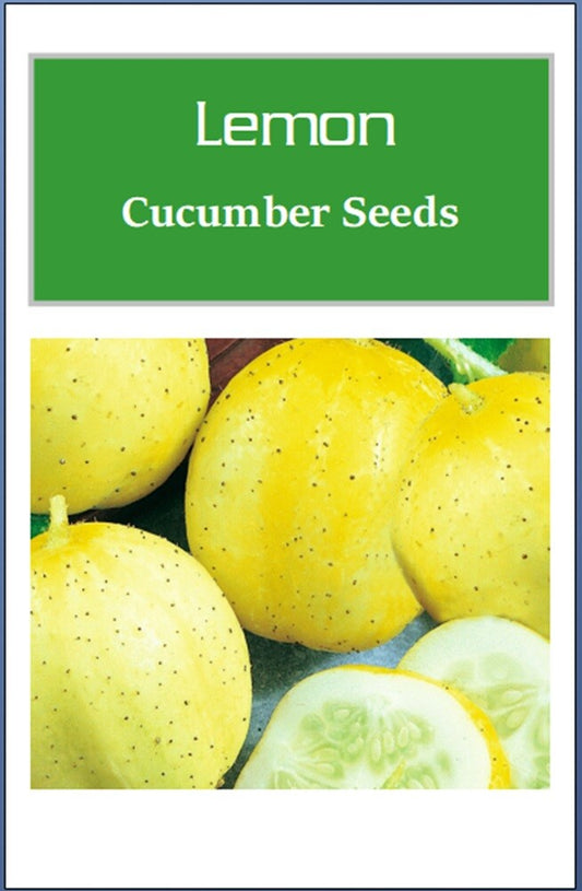 Lemon Cucumber Seeds | NON-GMO Cucumber Seeds | Heirloom Garden Seeds