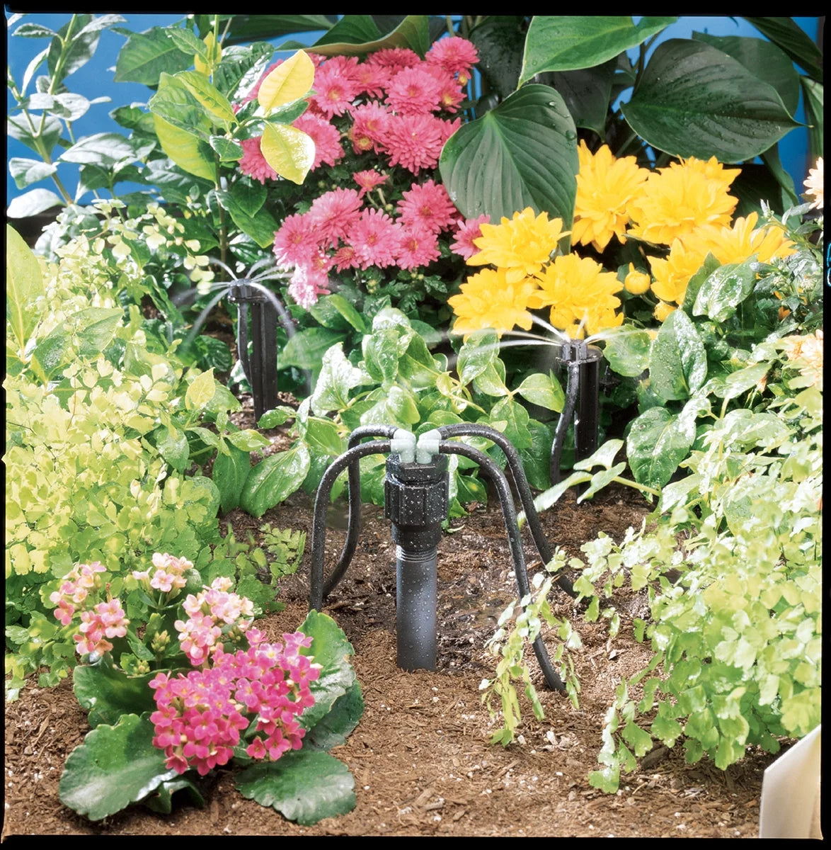 Irrigation 4-Port Full-Flow Drip Irrigation Manifold