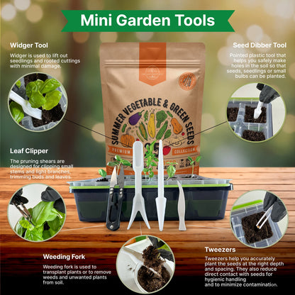 - 25 Summer Vegetable & Greens Seeds Varieties - 6,510+ Non GMO Heirloom Garden Seeds