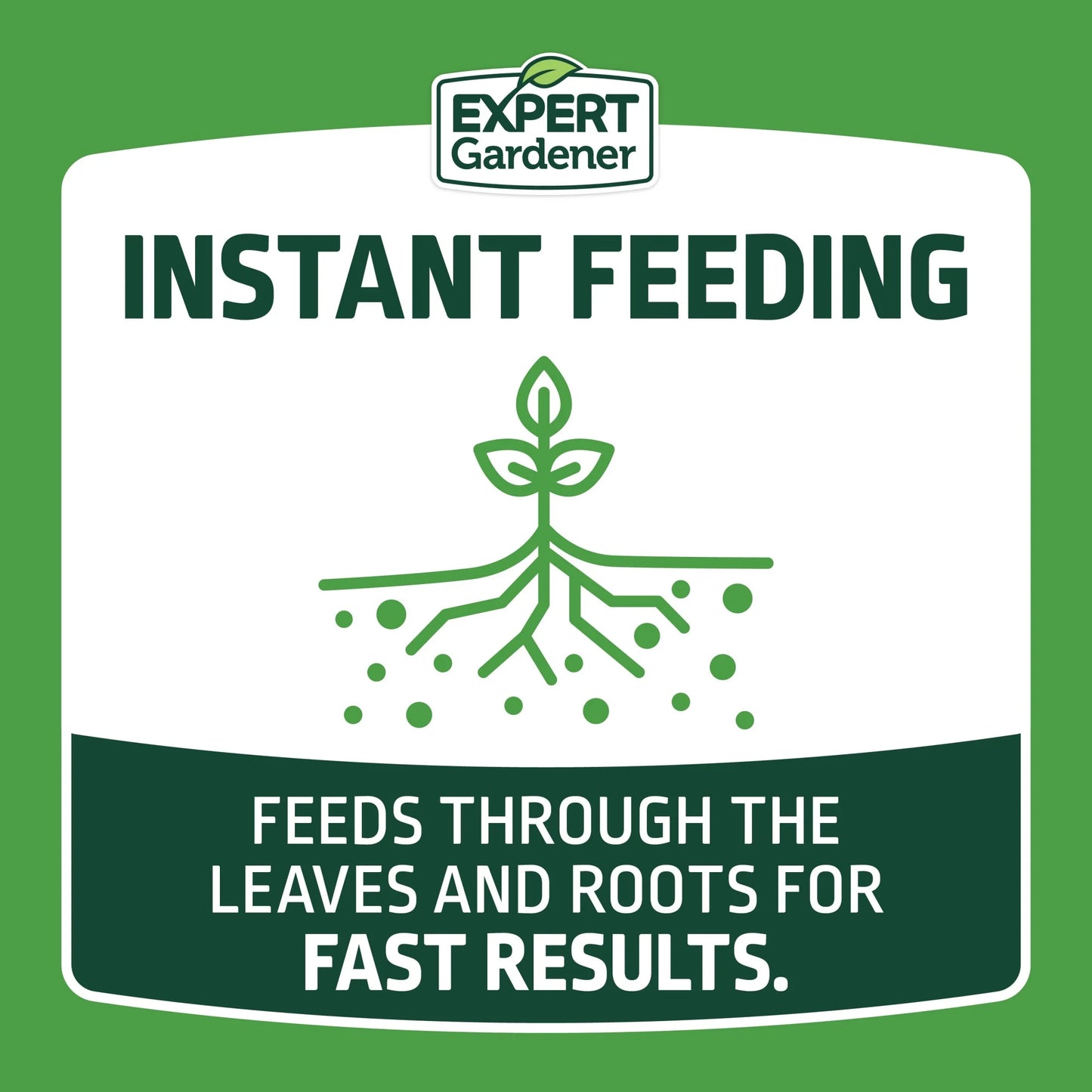 All-Purpose Water Soluble Plant Food Fertilizer, 5 Lb. Box
