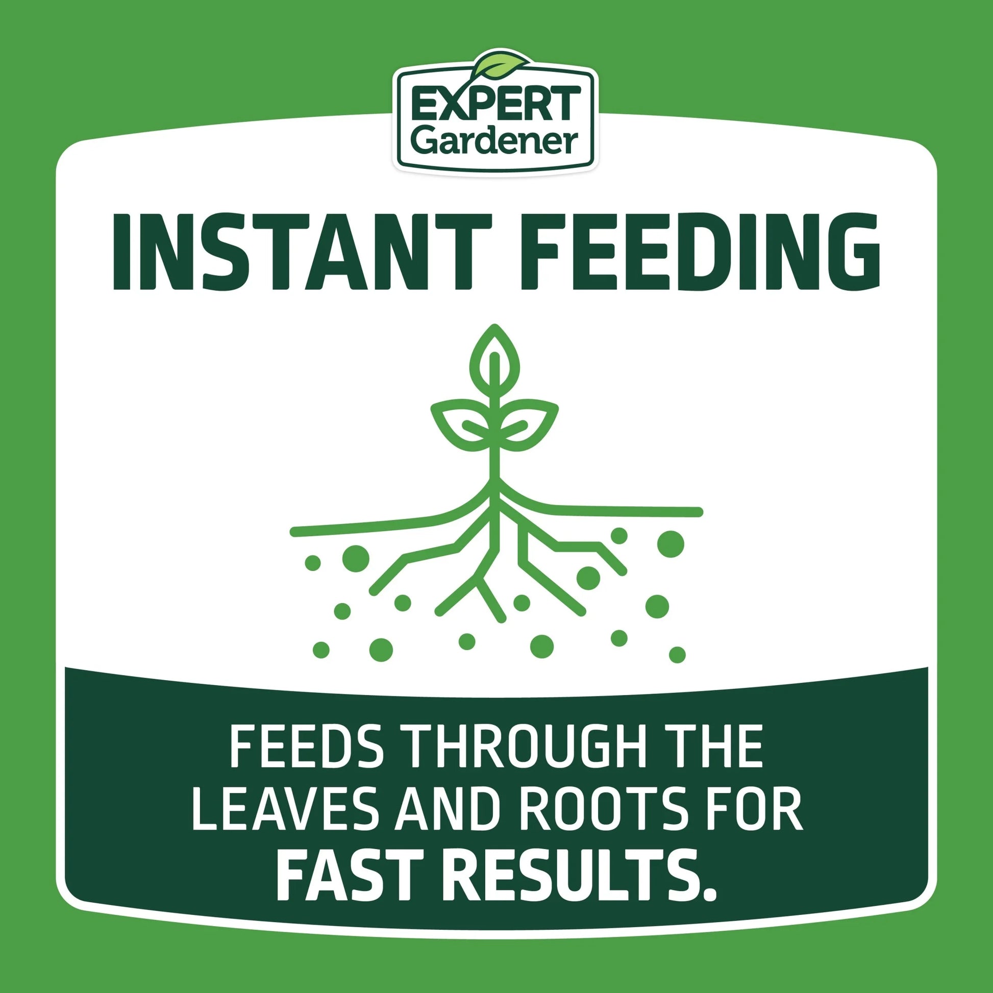 All-Purpose Water Soluble Plant Food Fertilizer, 5 Lb. Box