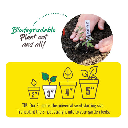 3" Peat Pots, (12 Pack)