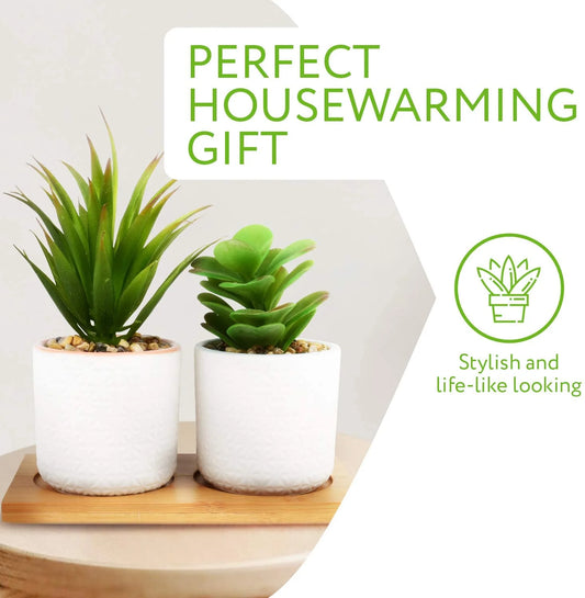 Set of 2 Artificial Succulent Plants, Fake Plants in White Ceramic Pots with Bamboo Tray, 6.5” Tall
