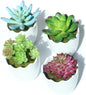 Artificial Succulent Plants Fake Succulents Mini Faux Plants for Home/Office Docor (Resin Pots) …
