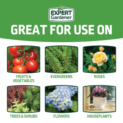 All-Purpose Water Soluble Plant Food Fertilizer, 5 Lb. Box
