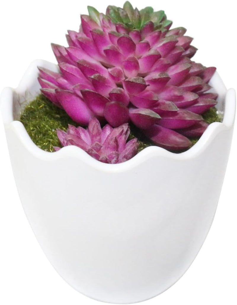 Artificial Succulent Plants Fake Succulents Mini Faux Plants for Home/Office Docor (Resin Pots) …
