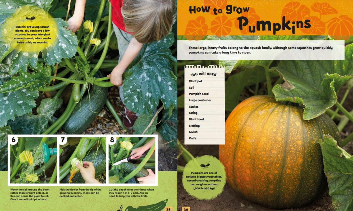 Gardening for Kids Garden Projects, Kids Gardening Book, Garden Projects for Kids Easy Gardening, Homeschool Resource, Gardening Projects