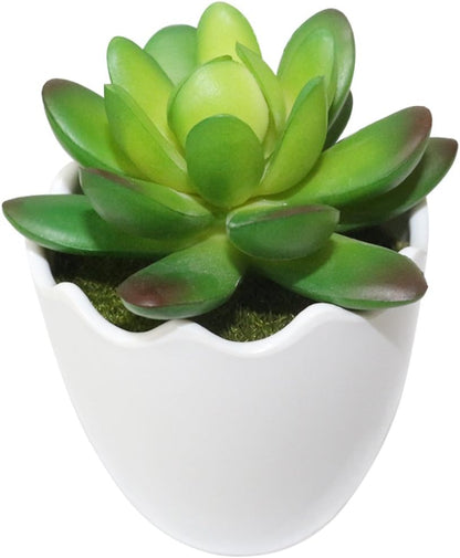 Artificial Succulent Plants Fake Succulents Mini Faux Plants for Home/Office Docor (Resin Pots) …