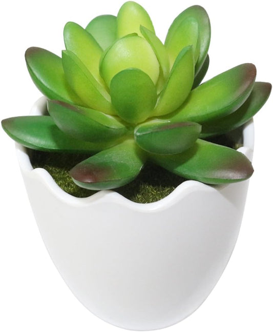 Artificial Succulent Plants Fake Succulents Mini Faux Plants for Home/Office Docor (Resin Pots) …