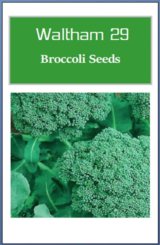 Broccoli Seeds | NON-GMO Broccoli Seeds | Fresh Heirloom Garden Seeds