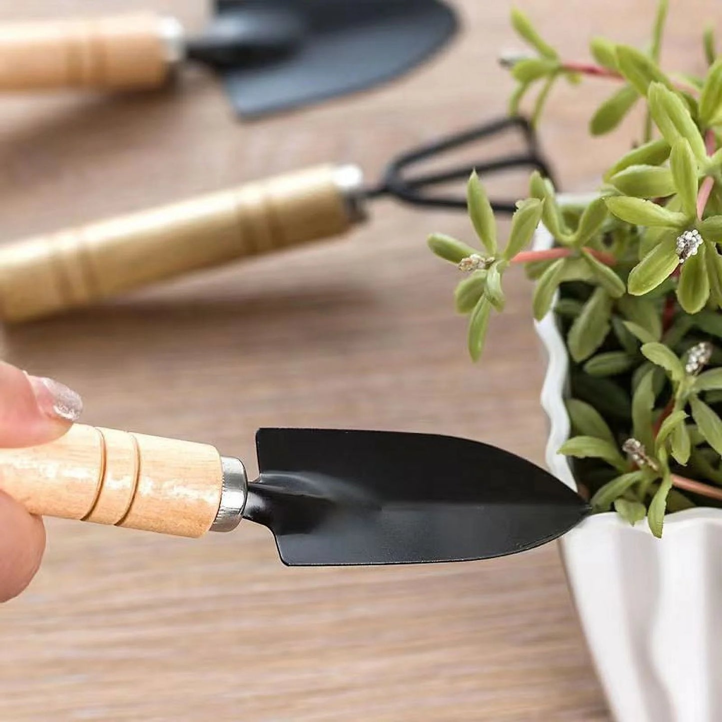 Mini Garden Tool Set, 3 Pieces Portable Mini Gardening Kit Including Hand Shovel, Transplant Shovel, Cultivator Hand Rake with Soft Wood Non-Slip Handle, Iron H