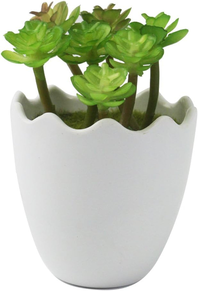 Artificial Succulent Plants Fake Succulents Mini Faux Plants for Home/Office Docor (Resin Pots) …