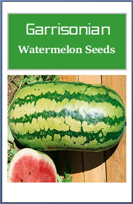Garrisonian Watermelon Seeds | NON-GMO Watermelon Seeds | Heirloom Garden Seeds