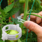 100PC Trellis Tomato Clips Supports Connects Plants Vines Trellis Twine Cages