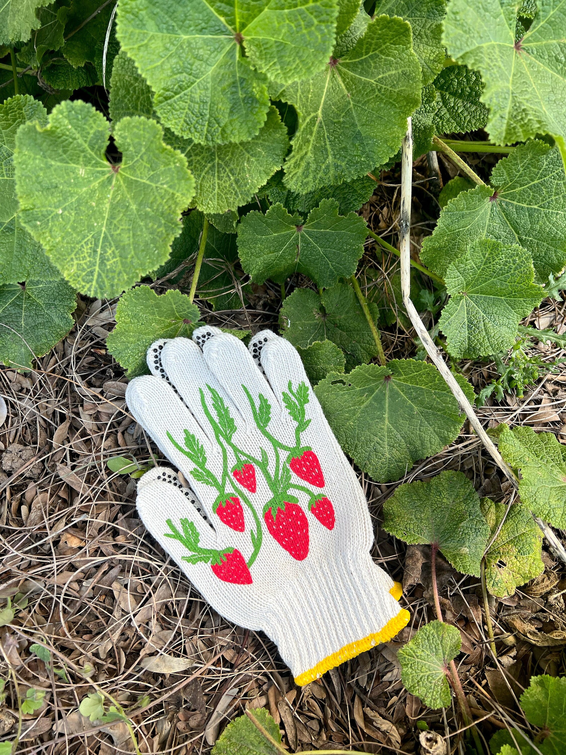 New! Strawberry Gardening Gloves | Garden Gloves | Gardening Tools